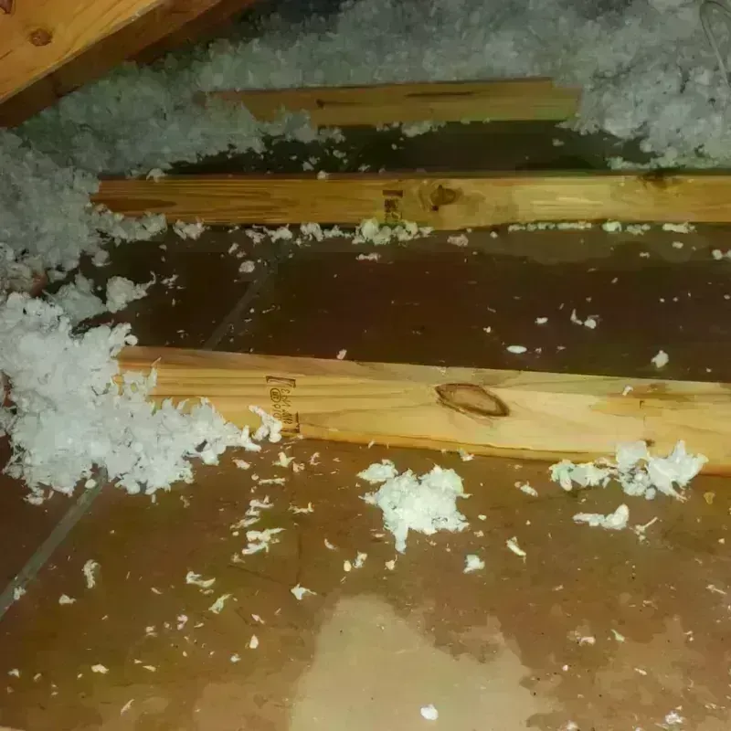 Attic Water Damage in Central City, KY